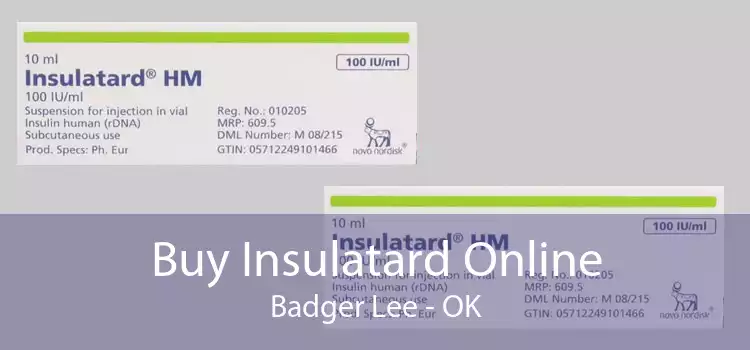 Buy Insulatard Online Badger Lee - OK