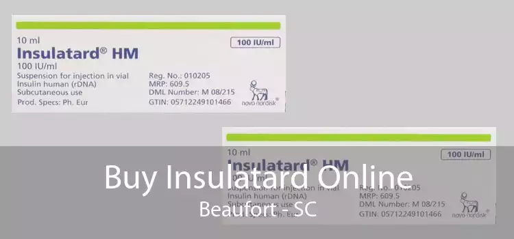Buy Insulatard Online Beaufort - SC