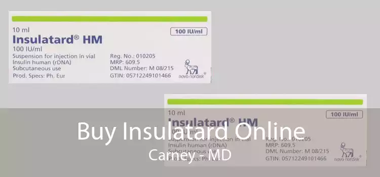 Buy Insulatard Online Carney - MD