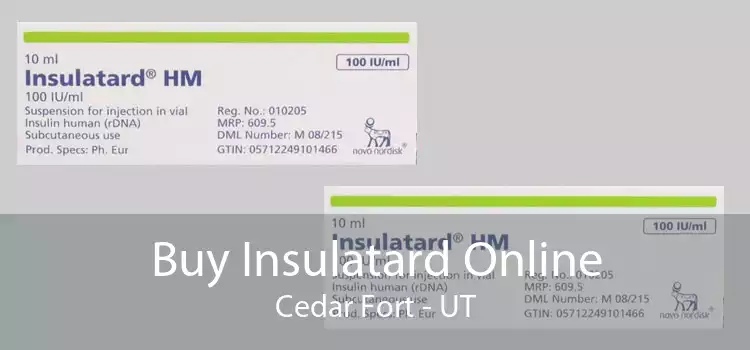 Buy Insulatard Online Cedar Fort - UT