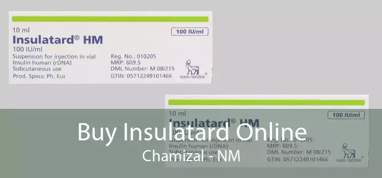 Buy Insulatard Online Chamizal - NM