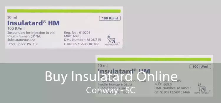 Buy Insulatard Online Conway - SC