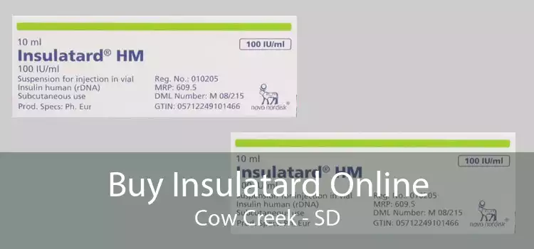 Buy Insulatard Online Cow Creek - SD