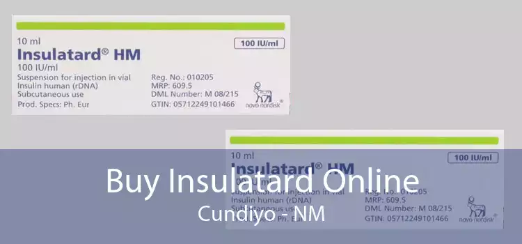 Buy Insulatard Online Cundiyo - NM